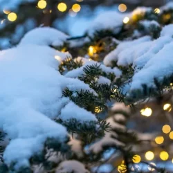 Why Christmas Music Feels Like Coming Home