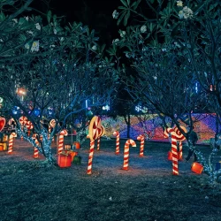 Candy cane decorations