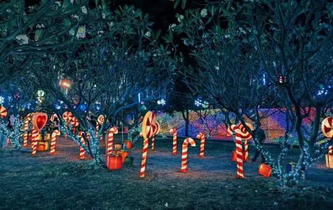 Candy cane decorations