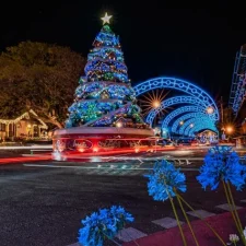 Lighted blue Christmas tree