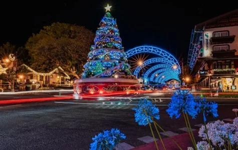 Lighted blue Christmas tree
