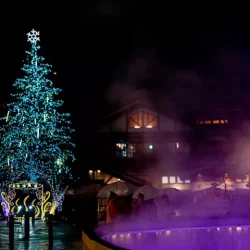 Christmas tree with lights