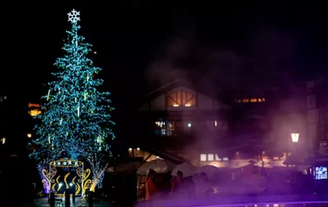 Christmas tree with lights