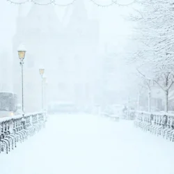 White Christmas