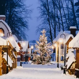 Christmas scene